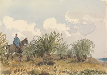 Erva de Tussac, Ilhas Falkland