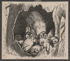 Coruja com crias, c. 1890 (impressão rápida)