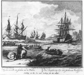 «Navegar no gelo e procurar a baleia» (n.º 1 da série sobre a caça à baleia)