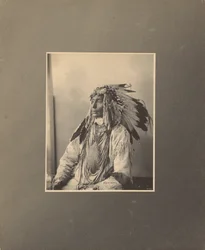 Matar o cavalo malhado, Assiniboines