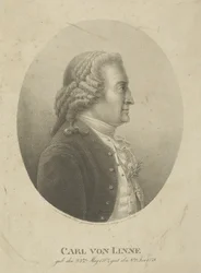 Retrato de Carl Linnaeus 1707-1778, c. 1800.