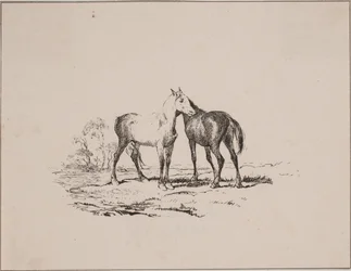 Os dois cavalos