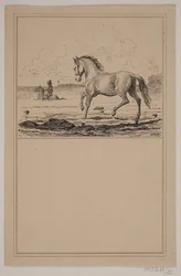 O cavalo na água. Não. 22 em Cr. Winther e M. Rørbye, "25 fotos para crianças pequenas"