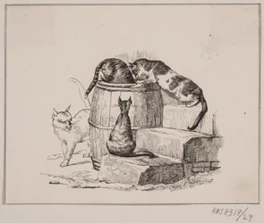 Os gatos