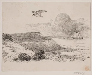 A gaivota