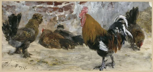 O galo e as galinhas. Do «Álbum das crianças»