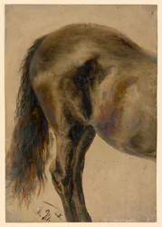 Parte traseira de um cavalo de perfil