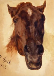 Cabeça de cavalo