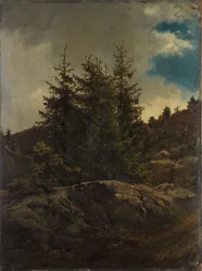 Paisagem de Nes em Hallingdal