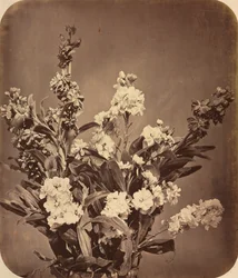 Bouquet, c. 1855