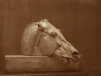 [Cabeça de cavalo do frontão do Partenon, Museu Britânico]