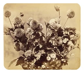 Sem título, c. 1860 (impressão albumina)