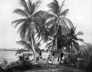 Na estrada para Blue Hole, Port Antonio, Jamaica, c1905.