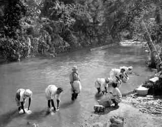 Mulheres, lavando roupa, em, a, rio, port antonio, jamaica, c1905