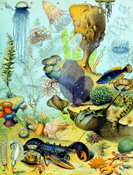 Ilustração de uma cena subaquática c.1923