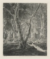 Bosques de Pierrefonds
