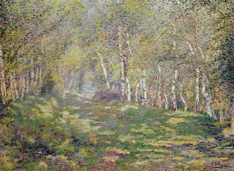 Vidoeiro prateado (óleo sobre tela)