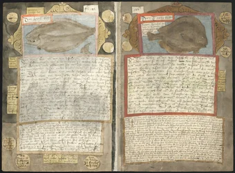 O Visboeck de Adriaen Coenen