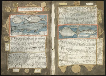 Visboeck de Adriaen Coenen - KB 78 E 54 - fólios 339v (esquerda) e 340r (direita)