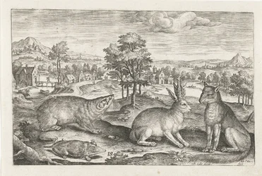 Animais Florestais
Animais de quatro patas (título da série)
Animalivm Qvaddrvpedvm (título da série)