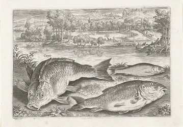 Três carpas num banco
Peixe (título da série)
Piscivm vivae icones (título da série)
