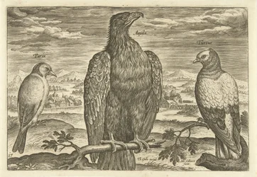 Três pássaros em uma paisagem Avium Vivae (título da série) Aves (título da série)