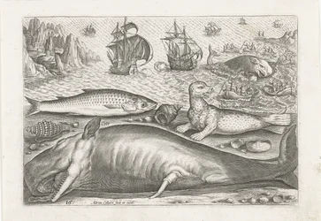 Uma tainha, um leão-marinho e uma baleia na praia
Peixe (título da série)
Piscivm vivae icones (título da série)