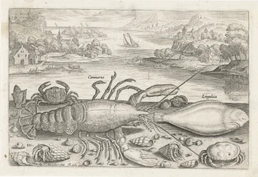 Um peixe e alguns crustáceos na praia Pesca (título da série) Piscivm vivae icons (título da série)