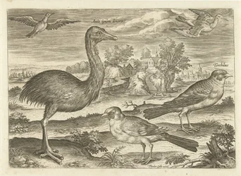Algumas aves numa paisagem
Pássaros (título da série)
Avivm vivae (título da série)