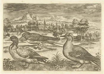 Algumas aves numa paisagem
Pássaros (título da série)
Avivm vivae (título da série)