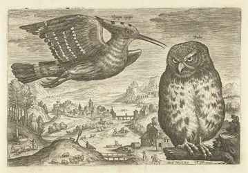 Algumas aves numa paisagem
Pássaros (título da série)
Avivm vivae (título da série)