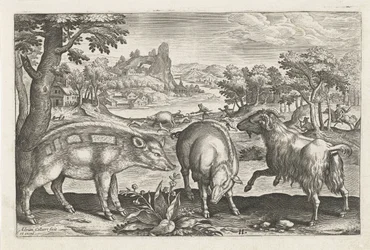 Caprinos e suínos
Animais de quatro patas (título da série)
Animalivm Qvaddrvpedvm (título da série)