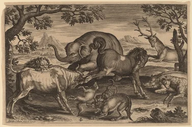 Leão, Touro, Raposa, Lobo, Cão, Boer, Cabra, Cavalo, Elefante e Veado