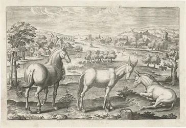 Cavalo e burros Animais de quatro patas (título da série) Animalivm Qvaddrvpedvm (título da série)