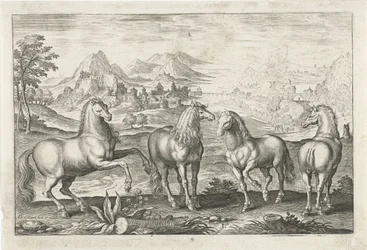 Cavalos Animais de quatro patas (título da série) Animalivm Qvaddrvpedvm (título da série)