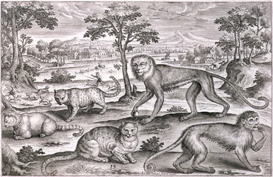 Três Gatos e Dois Macacos (gravura)