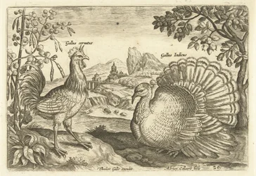 Duas galinhas numa paisagem
Avivm Vivae (título da série)
Pássaros (título da série)
