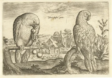 Dois papagaios numa paisagem
Avivm Vivae (título da série)
Pássaros (título da série)