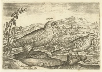 Dois pássaros em uma paisagem Avium Vivae (título da série) Aves (título da série)