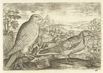 Dois pássaros numa paisagem
Avivm Vivae (título da série)
Pássaros (título da série)