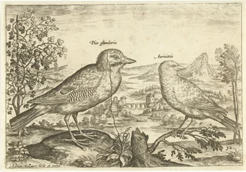 Dois pássaros em uma paisagem Aves (título da série) Avium Vivae (título da série)