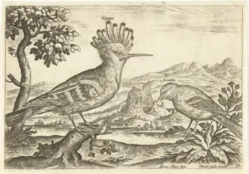 Dois pássaros em uma paisagem Aves (título da série) Avium Vivae (título da série)