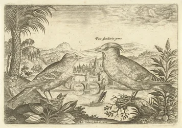 Dois pássaros em uma paisagem Aves (título da série) Avium Vivae (título da série)