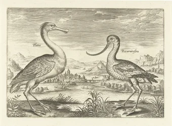Duas aves pernaltas numa paisagem fluvial
Pássaros (título da série)
Avivm Vivae (título da série)