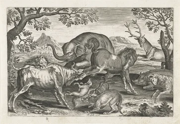 animais de luta Animais de quatro patas (título da série) Animalivm Qvaddrvpedvm (título da série)