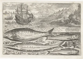 Quatro peixes na praia Pesca (título da série) Ícones de Piscium vivae (título da série)