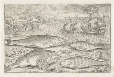Quatro peixes na praia
Peixe (título da série)
Piscivm vivae icones (título da série)