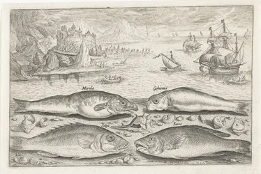 Quatro peixes na praia
Peixe (título da série)
Piscivm vivae icones (título da série)
