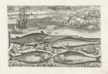 Quatro peixes na praia Pesca (título da série) Ícones de Piscium vivae (título da série)