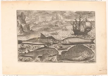 Quatro peixes na praia
Peixe (título da série)
Piscivm vivae icones (título da série)